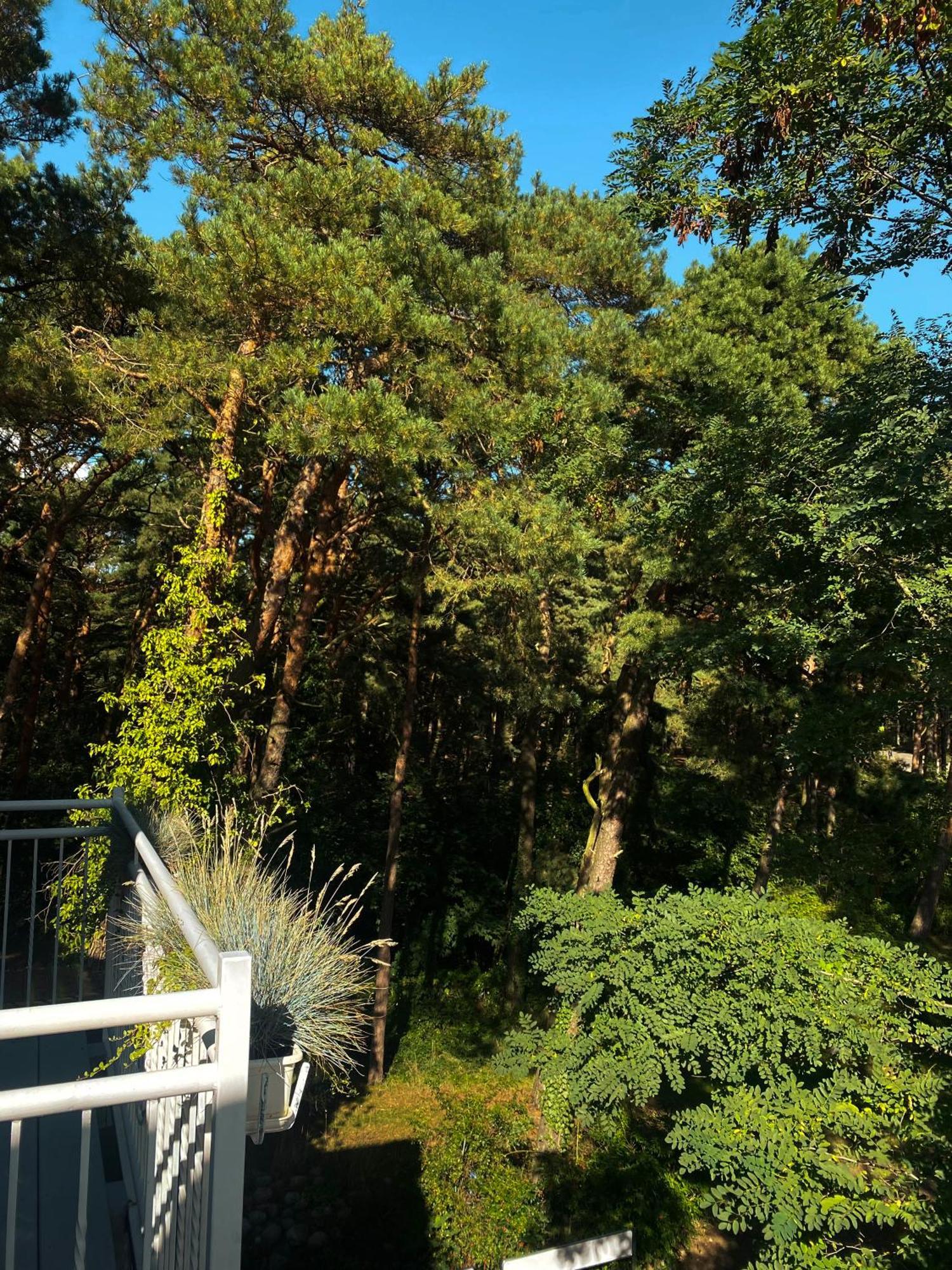 Orbisa Pokoje I Apartamenty Leba Bagian luar foto